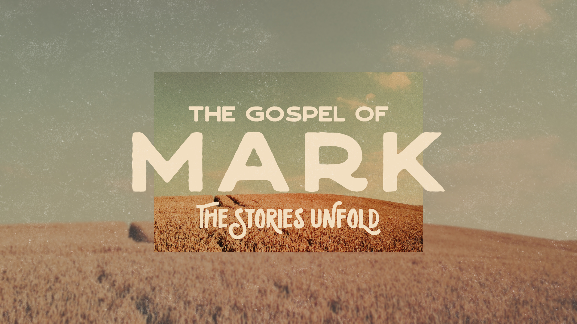 Mark: The Stories Unfold: The Shepherd and his Sheep