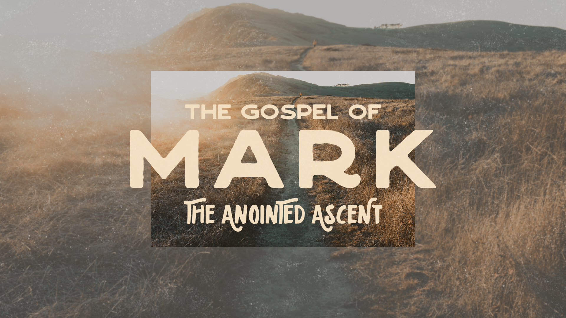 Mark: Anointed Ascent – Questions and the Answer